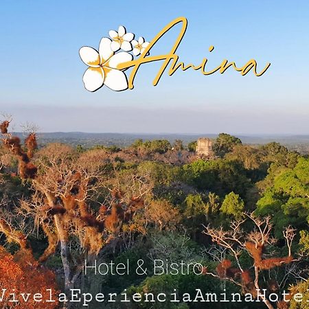 Amina Inn Flores Extérieur photo