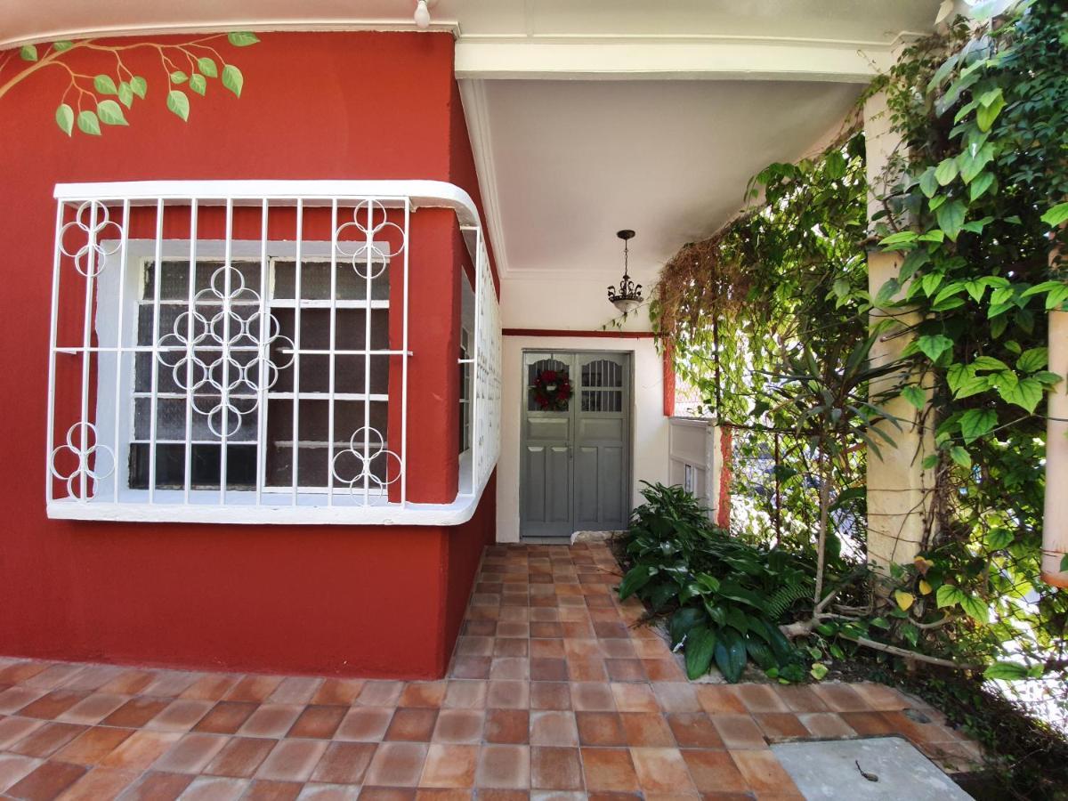 Amina Inn Flores Extérieur photo
